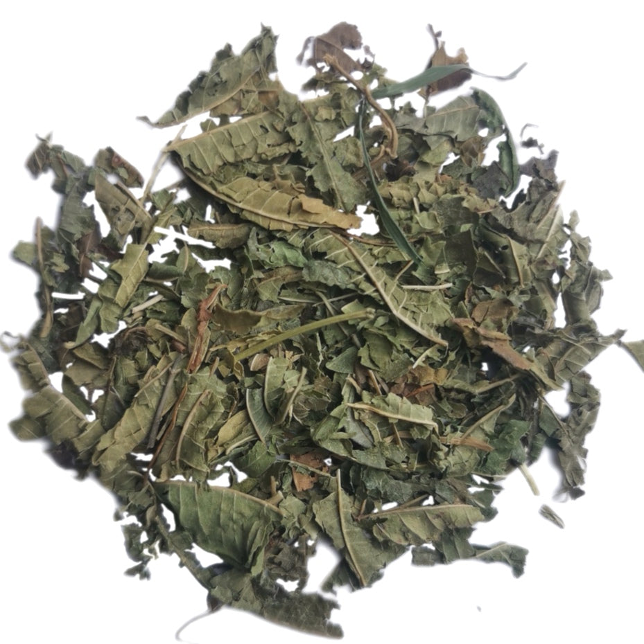 Lemon Verbena - Herbal Infusion
