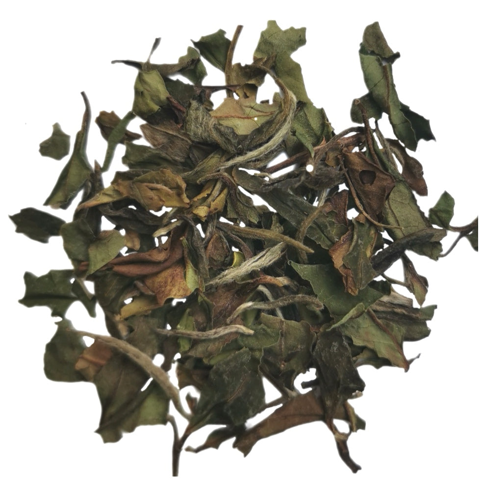 Organic Pai Mu Tan - White Tea