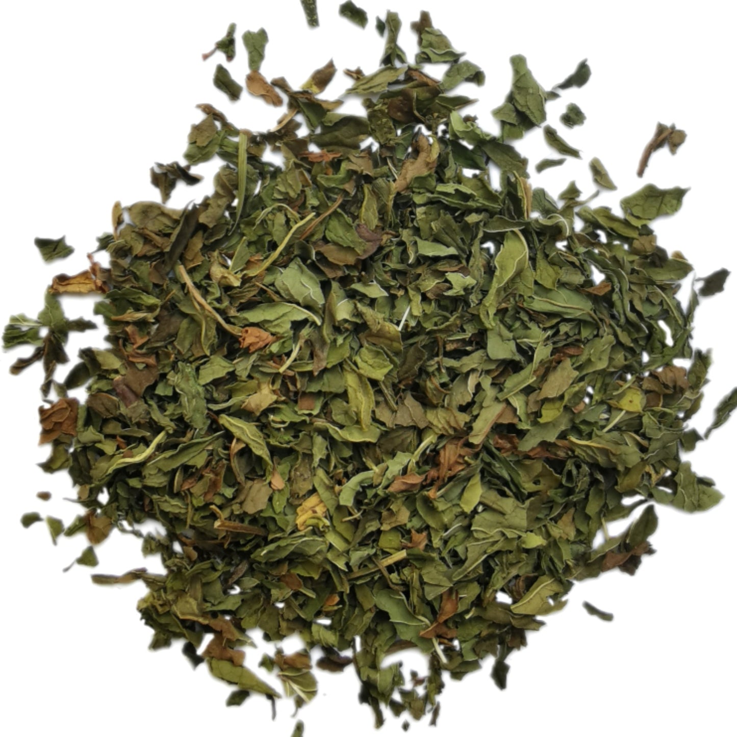Spearmint - Cut - Herbal Infusion