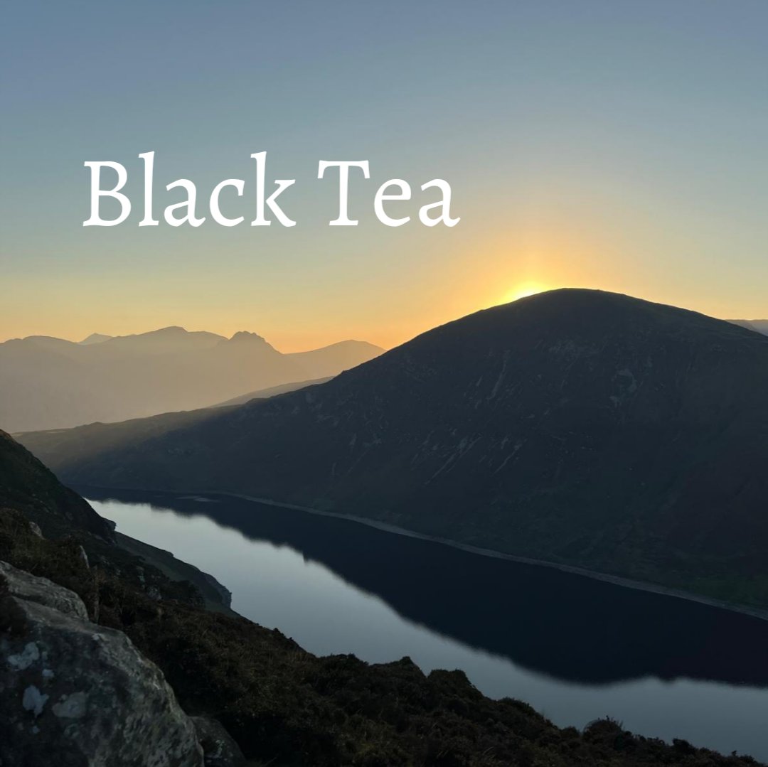 Black Tea