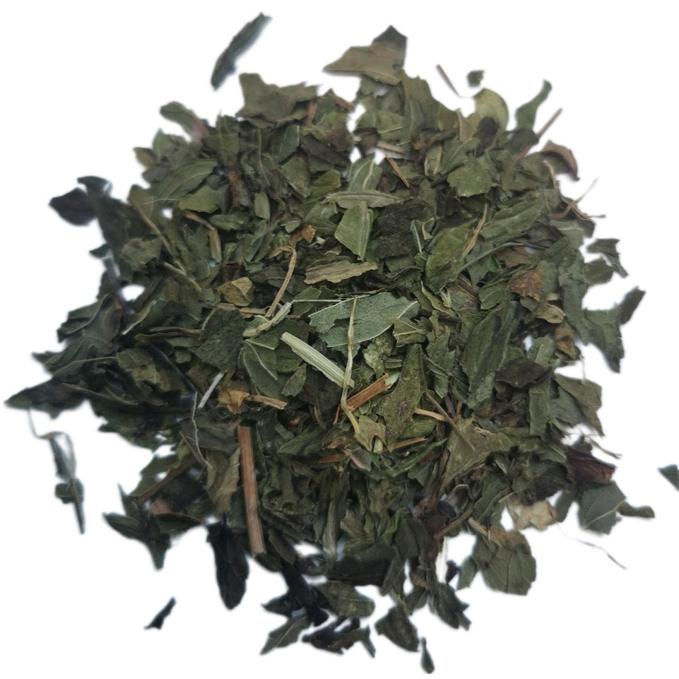 Organic Peppermint - Cut - Herbal Infusion