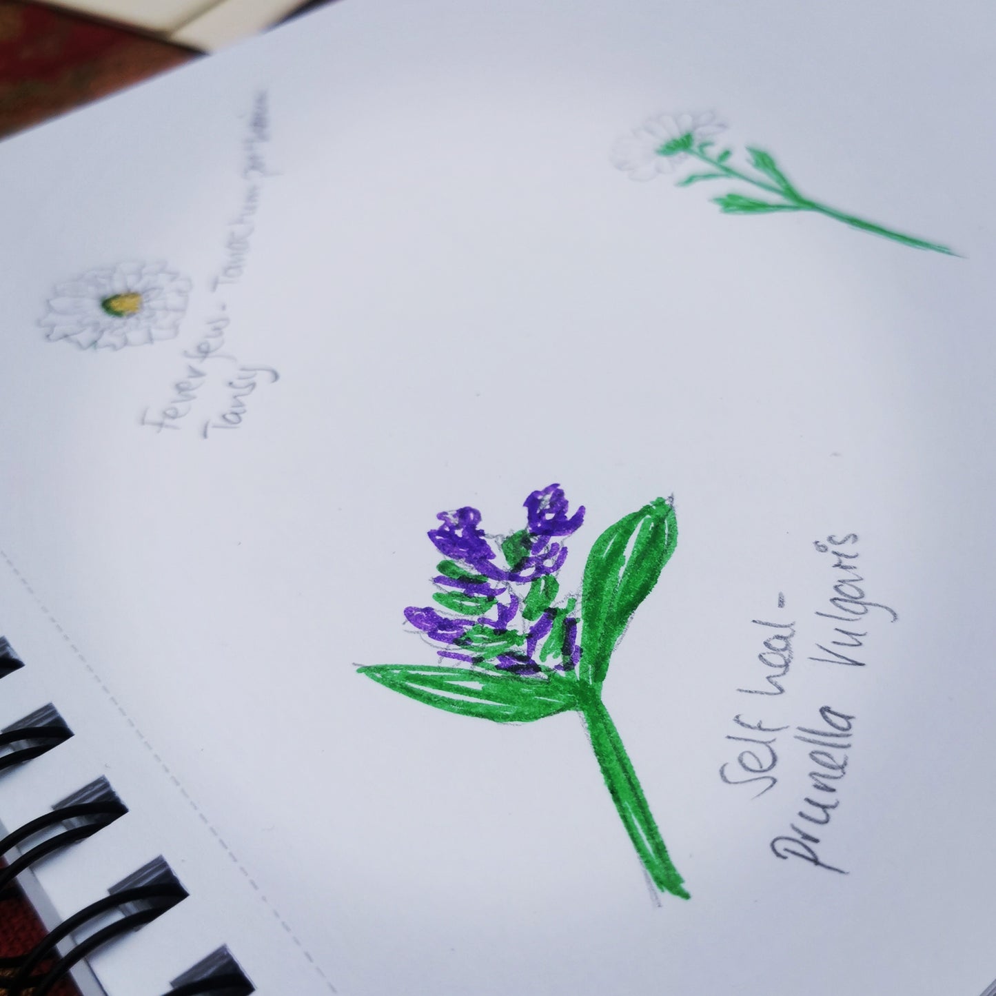 EVENT - Tea & Wildflowers